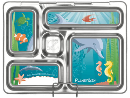 1204_Rover_Under_the_Sea_69f6458b-21db-4560-b7e6-c7d906b1780a_large